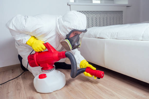 Best Rat Extermination Near Me  in Cedar Springs, MI