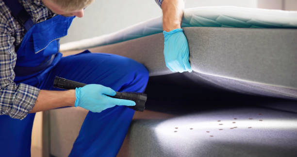 Best Ant Control Services  in Cedar Springs, MI