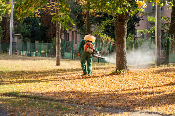 Best Pest Control for Businesses  in Cedar Springs, MI