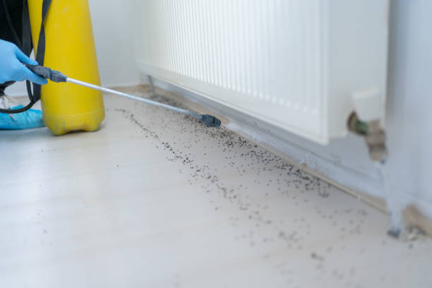 Best Pest Removal Services  in Cedar Springs, MI