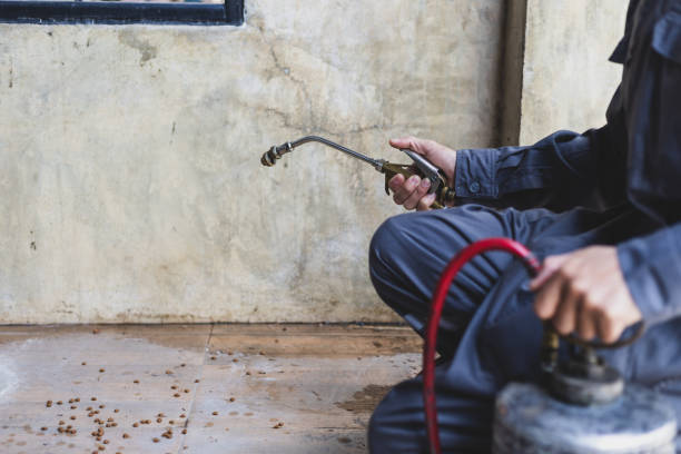 Professional Pest Control in Cedar Springs, MI